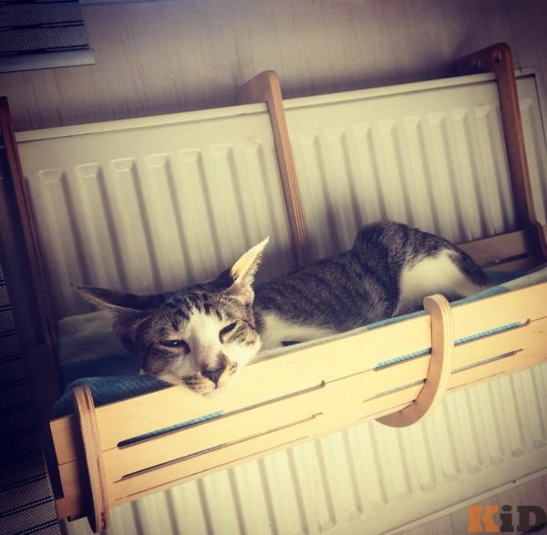 Лежак для кота/кошки